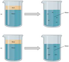 Chemical Structure Of Some Organic Compounds Found In Water Extract Of... |  Download Scientific Diagram