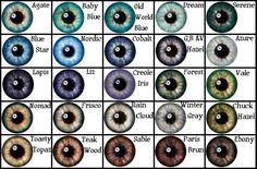 15 Best Eye Color Charts Images In 2019 Eye Color Eye