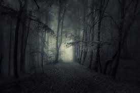 Dark Path In Haunted Woods At Night Dark Path In Haunted Forest With Fog At Nig Sponsored Haunted Path Dark Haunted Woods Stone Path Haunted Forest