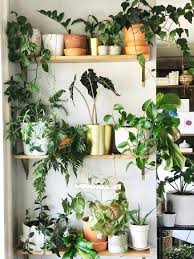 Hello Friends We Have A Recent Addition To Our Eat In Kitchen Nook And I M In Love It Involves A Fu In 2020 Indoor Plant Wall Small Indoor Plants Plant Stand Indoor
