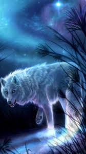 Awesome collection hd wolf wallpapers and background images for pc, laptop, ipad, chromebook, android, iphone, . 4k Wolf Wallpaper Ixpap