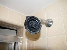 Easy Shower Head Decrustifying With Images Shower Heads Cleaning Shower Head Diy Cleaning Products