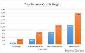 Average Tree Removal Cost Chart By Height Tree Removal Cost Tree Removal Tree Trimming Cost