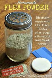 Homemade Flea Repellent Flea Powder For Dogs Flea Powder Flea Remedies
