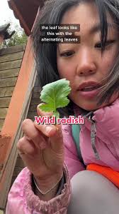 Flower and Garden Eats