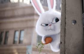 тайная жизнь домашних животных смотреть онлайн полная версия ютуб Tajnaya Zhizn Domashnih Zhivotnyh Istorii Iz Zhizni Sovety Novosti Yumor I Kartinki Goryachee Pikabu