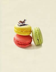 Summer Series On Behance Macaroons Desserts Dubai Food