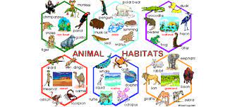 Browse the use examples 'animal habitat' in the great english corpus. Habitats Welcome To 4th Grade