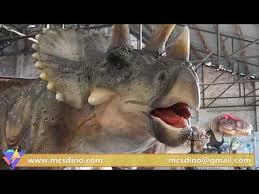 This Will Be The Most Attractive Tourist Attraction With Placing This Full Size 32 Foot Long 13ft Tall Animatronic Triceratop Tourist Attraction Feet Animation