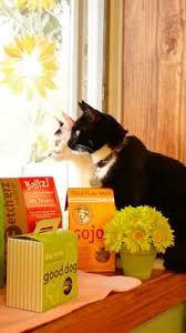 Get directions contacts write a review. Natural Pet Center At Ireland Corners 609 State Route 208 Gardiner Ny Pet Supplies Mapquest