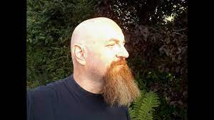 Using A Babyliss Easycut V2 Clipper To Prepare My Head For Shaving Youtube