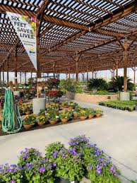 Garden centre · las vegas, nv, united states. Star Nursery 9480 W Tropicana Ave Las Vegas Nv Landscaping Equipment Supplies Mapquest