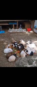 Buenos días con toda la actitud...