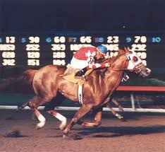 Archived results from los alamitos race course. Los Alamitos Race Course