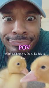 Meet Daisy & Doodle! My new foster Ducklings.They have so much personality!  Should I make them a tik tok? 😅🐥