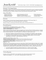 Successful Resumes Sample New 80 Free Professional Resume Examples ...