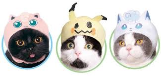 Wie soll meine katze nur heißen? Cosplay Pokemon Mutzen Verzaubern Katzen In Niedliche Pokemon