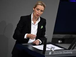 3.210 me gusta · 1 personas están hablando de esto. Kurz Ist Fur Afd Politikerin Weidel Ein Guter Politiker Sn At