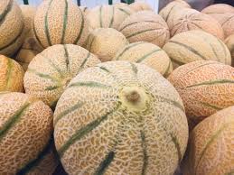 We did not find results for: Melon Grower Distributor To Exhibit New Summer Program