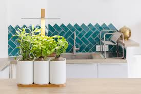 Graines pour jardin d interieur. Ca Pousse N Importe Comment Et A La Fin Ca Meurt Les Potagers Connectes Sont Ils Vraiment Utiles