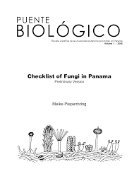 Image result for Lefebvrea longipedicellata