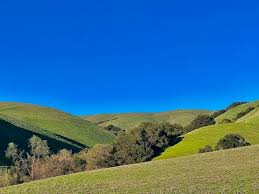 The park is the site of the former garin ranch, sold by andrew j. Dry Creek Pioneer Regional Park Photo Of The Day Union City Ca Patch