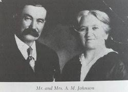 Albert Martin Johnson (1858-1931)