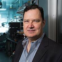 Willson Earns Esther Farfel Award; Four Others Tabbed for Faculty, Staff  Honors