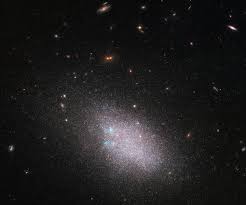 Swarm of Stars Spotted by Hubble Space Telescope