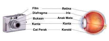 We did not find results for: Fakta Fakta Tentang Mata Occusharp