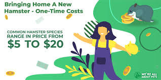 We did not find results for: The Cost Of Owning A Hamster We Re All About Pets