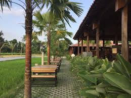 Ibu jadi ladang bermain teman anaknya yang menang banyak serabi lempit cewek polos alur cerita film. Srawung Resto Kopi Kulineran Syahdu Di Tengah Persawahan Yogya Gudegnet