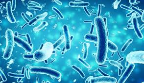 Learn more about salmonella causes, symptoms, complications, treatment, and prevention. Salmonella Outbreak From Eggs Sickens 38 In 7 States