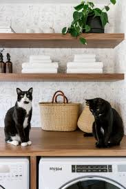 Check spelling or type a new query. These 13 Indoor Plants Are Safe For Pets