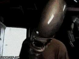 A potato flying around your room. React To Gifs Forum Games Flight Rising