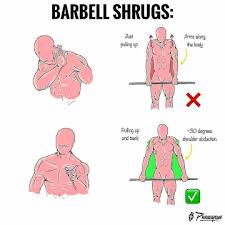 687 Likes 1 Comments Fitnessimportance Fitnessimportance On Instagram Barbell Shrugs As Always Thanks To Pheasyque For Creating Th I 2020 Traning
