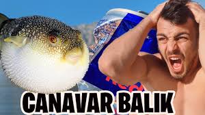 Canavar Balon Baligi Yakaladik Demir Yiyor Youtube