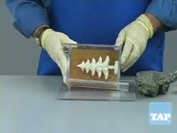 The actual name of the plastic is polycaprolactone. How To Make A Two Part Mold Youtube