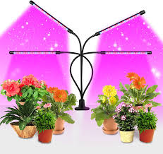 There are many reasons why a grower would grow autoflowers under 12 hours even if autoflower plants do best under 18 to 24 hours of light. Amazon Com Led Grow Light For Indoor Plants Deruikeer 80w Full Spectrum Growing Lamp With 9 Dimmable Brightness 3 Modes Timing Function For Greenhouse Plants Flowers Veg Succulents Potted Growth Patio Lawn
