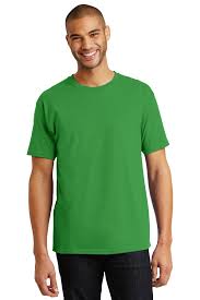 Hanes Tagless 100 Cotton T Shirt