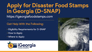 Apply For Disaster Food Stamps In Georgia Georgia Food