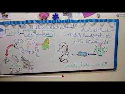 انتقال الطاقة بين الكائنات الحية الصف الثاني Youtube