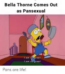 The romantic counterpart is panromantic. Bella Thorne Comes Out As Pansexual I Am So Great I Am So Great Pans Are Life Life Meme On Me Me