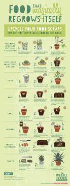 Green Mission Growing Vegetables Plants Veggie Garden