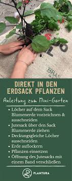Direkt In Den Erdsack Pflanzen Anleitung Tipps Plantura Mini Garten Pflanzen Garten