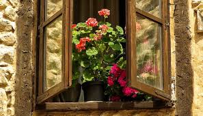 Paris, the city of romance and love. French Women Daily Routine 5 Reasons To Open Windows Art Of The Home