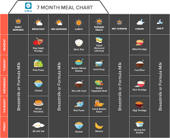 Maria castillo as the new assistant principal at congressman silvestre & carolina reyes elementary school. Indian Baby Food Chart Ultimate Guide For 0 12 Months Old 2021 Updated