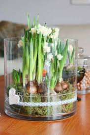 Such An Incredibly Beautiful Idea Which Keeps On Giving Paperwhite Flowers Spring Bulbs Bulb Flowers