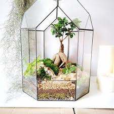 Digital Printable Pattern Geometric Glass Air Planter Etsy In 2020 Orchid Terrarium Geometric Terrarium Geometric Planter