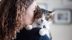 The allowance is to help pay the costs of food, grooming, and health care for the dogs. Coronavirus Covid 19 Faq The Humane Society Of The United States